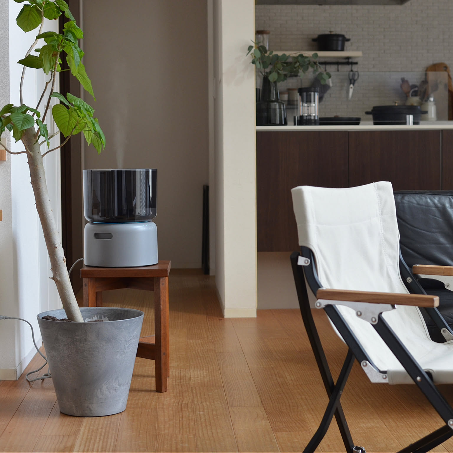 ROOMCLIP AUTOCLEAN – cado