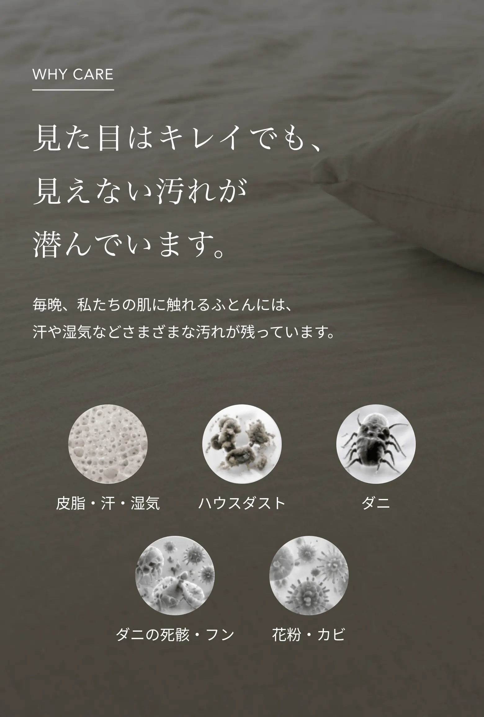 見た目はキレイでも、ふとんには皮脂、汗、湿気、ハウスダスト、ダニ、花粉、カビなどの見えない汚れが潜んでいます
