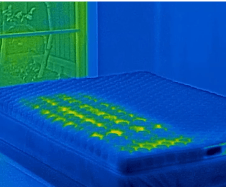 FOEHN GRASS – cado